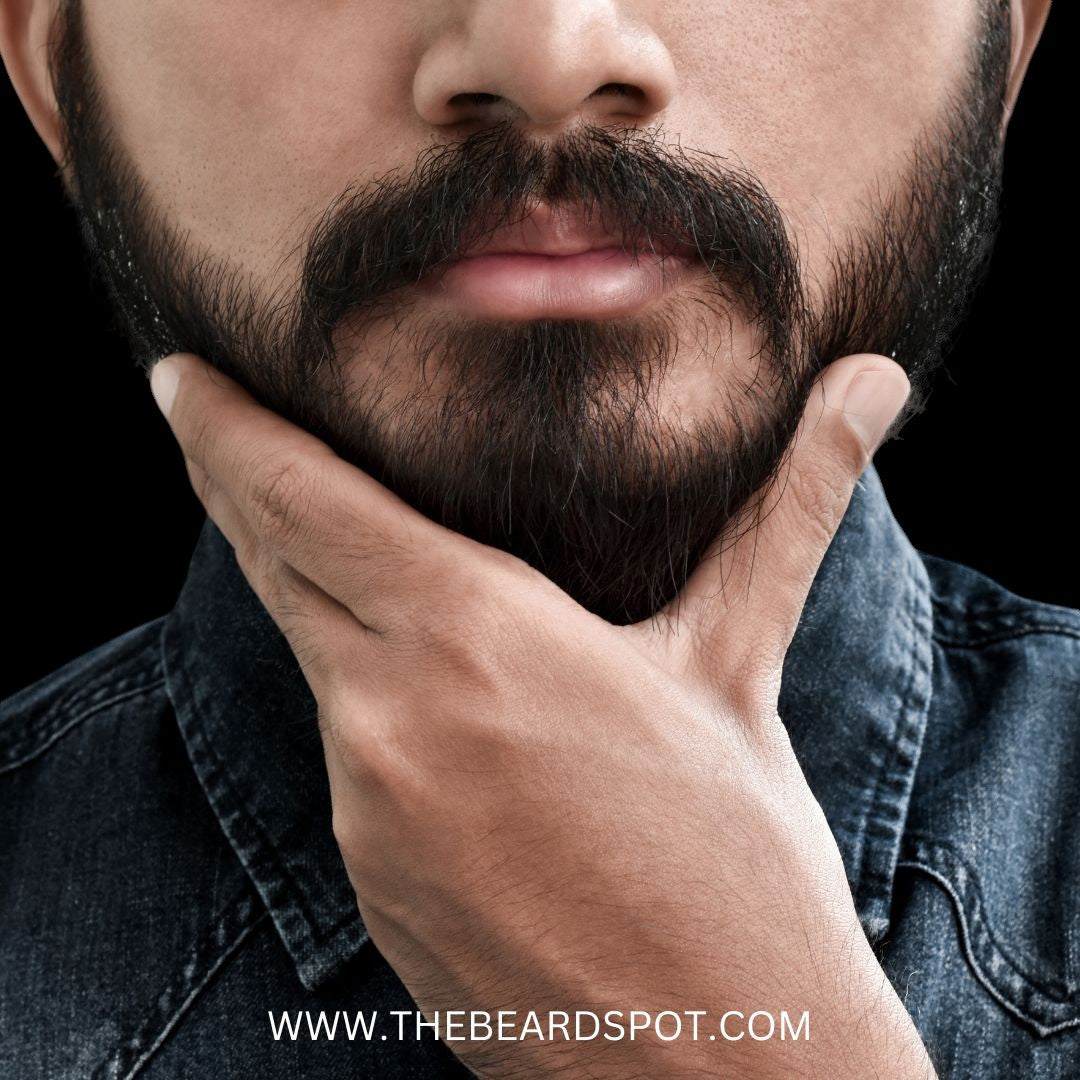 Beard Growth Tips for Beginners: How to Start Your Beard